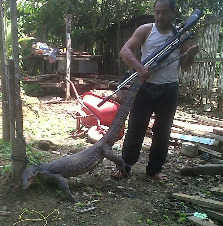 Jual Senapan Angin: Panduan Zeroing Teleskop untuk Pemula